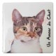 Magnet Chat tricolore