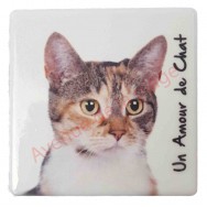 Magnet Chat tricolore