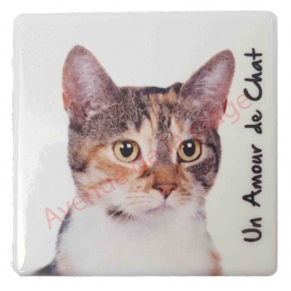 Magnet Chat tricolore