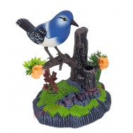 Oiseau bleu sur branche sonore