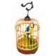 Perroquet bleu en cage sonore