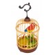 Perroquet rouge en cage sonore
