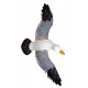 Mouette murale 36 cm x 17 cm