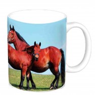 Mug jument et son poulain