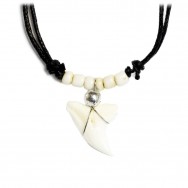 Collier dent de requin véritable