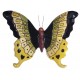 Papillon céramique 17 cm noir, jaune, vert