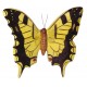 Papillon céramique 23 cm jaune et noir, décoration murale