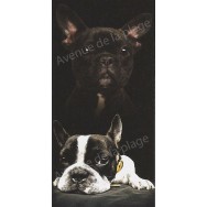 Serviette de plage bulldog français