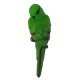 Perruche, Perroquet à accrocher 21 cm, vert.