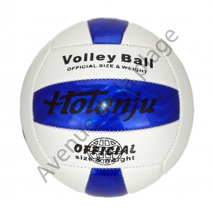 Ballon de volley Ball bleu et blanc - Beach Volley