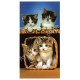 Serviette de plage chatons dans un panier