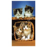Serviette de plage chatons dans un panier