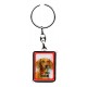 Porte clef chien J'aime mon Teckel à poil court.