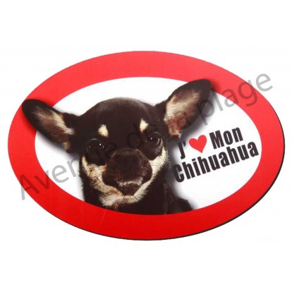 Magnet J'aime mon Chihuahua tricolore.