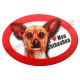 Magnet J'aime mon Chihuahua roux.