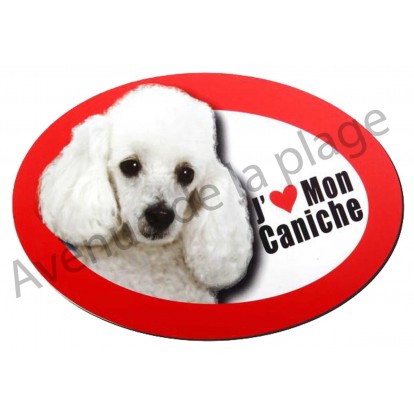 Magnet J'aime mon Caniche blanc.