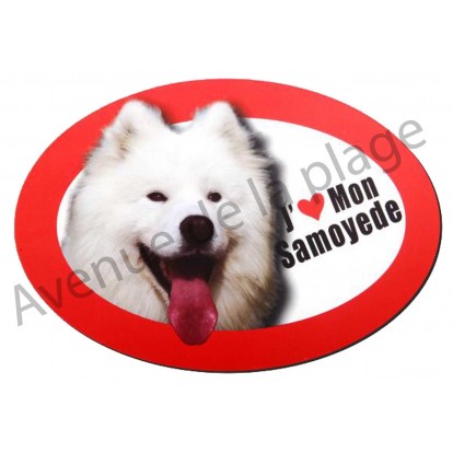Magnet J'aime mon Samoyede