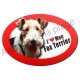 Magnet J'aime mon Fox Terrier
