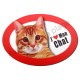 Magnet J'aime mon Chat Gingembre.