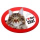 Magnet J'aime mon Chat Maine Coon.