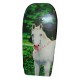 Bodyboard cheval blanc 104 cm