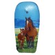 Bodyboard jument et son poulain 104 cm