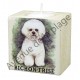 Bougeoir chien - Bichon Frisé