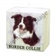 Bougeoir chien - Border Collie