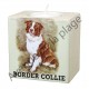 Bougeoir chien - Border Collie