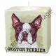 Bougeoir chien - Boston Terrier