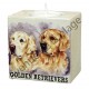 Bougeoir chien - couple de Golden Retriever