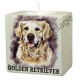 Bougeoir chien - Golden Retriever