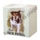 Bougeoir chien - Jack Russel modèle C.
