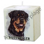 Bougeoir chien - Rottweiler