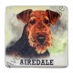 Magnet chien Airedale
