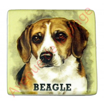Magnet chien Beagle