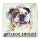 Magnet chien Bulldog Anglais