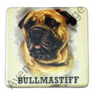 Magnet chien Bullmastiff