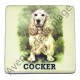 Magnet chien Cocker beige.