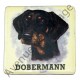 Magnet chien Dobermann
