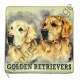 Magnet chien Golden Retriever