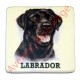 Magnet chien Labrador noir.