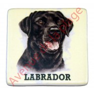 Magnet chien Labrador