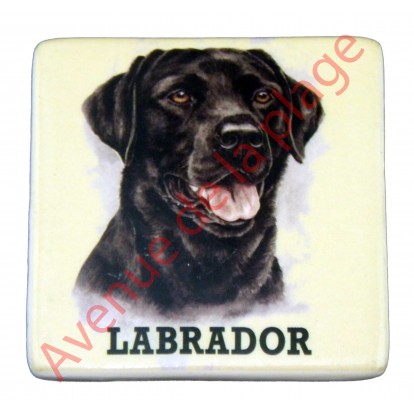 Magnet chien Labrador noir.