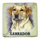 Magnet chien Labrador jaune.