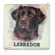 Magnet chien Labrador chocolat.