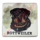 Aimant pour frigo Rottweiler