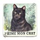 Magnet pour frigo Chat noir.
