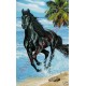 Serviette de plage microfibre "Cheval noir sur la plage"