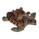 Tortue de mer avec son bébé, modèle A.